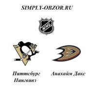 pittsburg-pingvinz-anahajm-daks-11-10-19-onlajn-i-obzor
