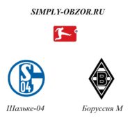shalke-borussiya-17-01-20